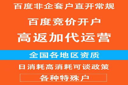 百度竞价包年推广策略深度解读与案例分析